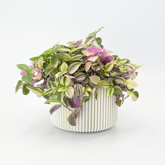 Vase oder Topf, Übertopf in weiss mit Blumen, die Vase ist nachhaltig und geeignet für Innendekoration, Tischdekoration oder Hochzeit, Design von dekovase.ch